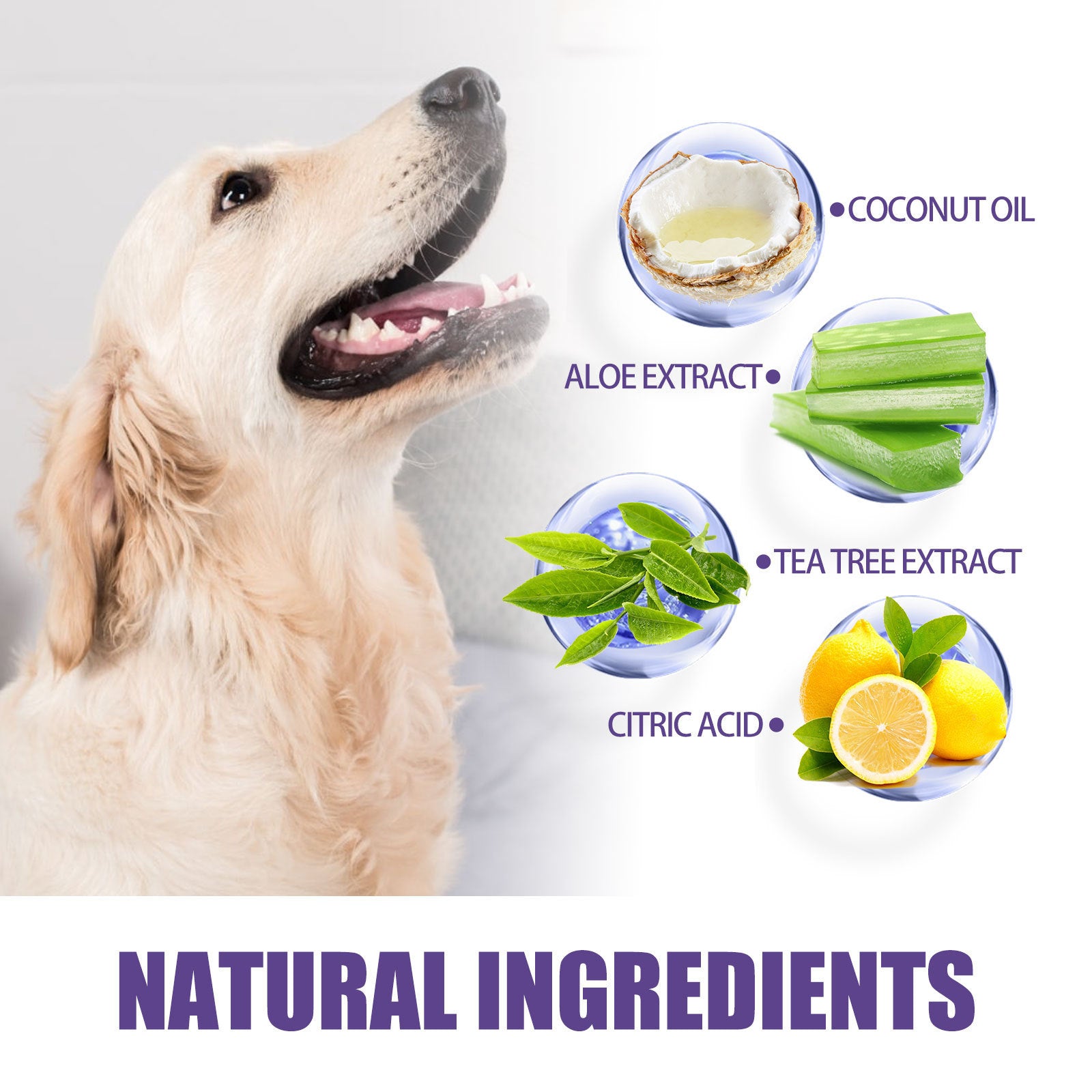 Pet Cleaning Gloves: Gentle Gum Care & Tartar Removal