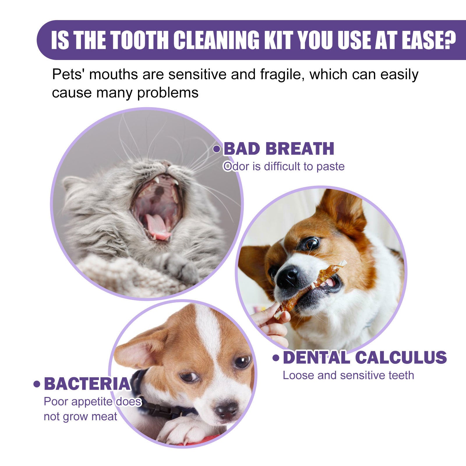 Pet Cleaning Gloves: Gentle Gum Care & Tartar Removal