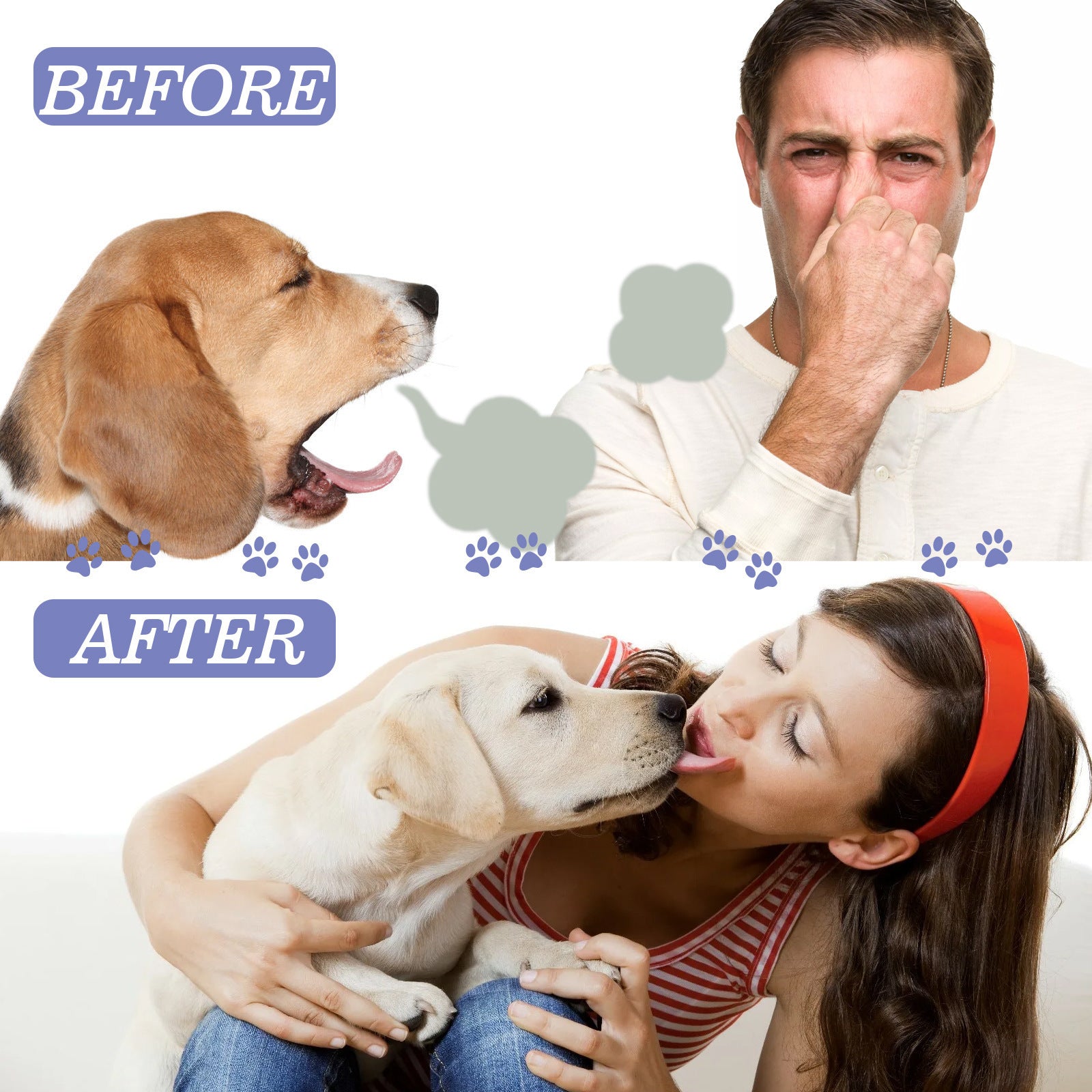 Pet Dental Spray: Tartar & Stain Remover