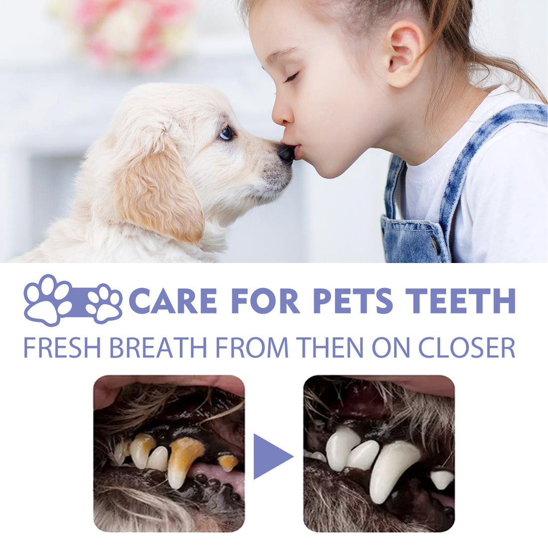 Pet Dental Spray: Tartar & Stain Remover