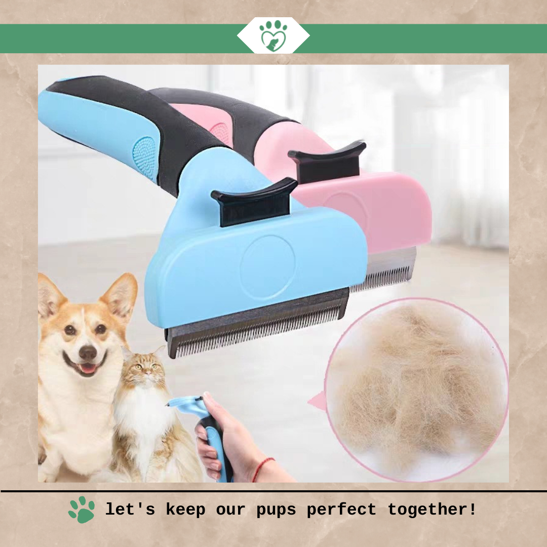 Keep Your Home Fur-Free with Our Pet Grooming Comb!