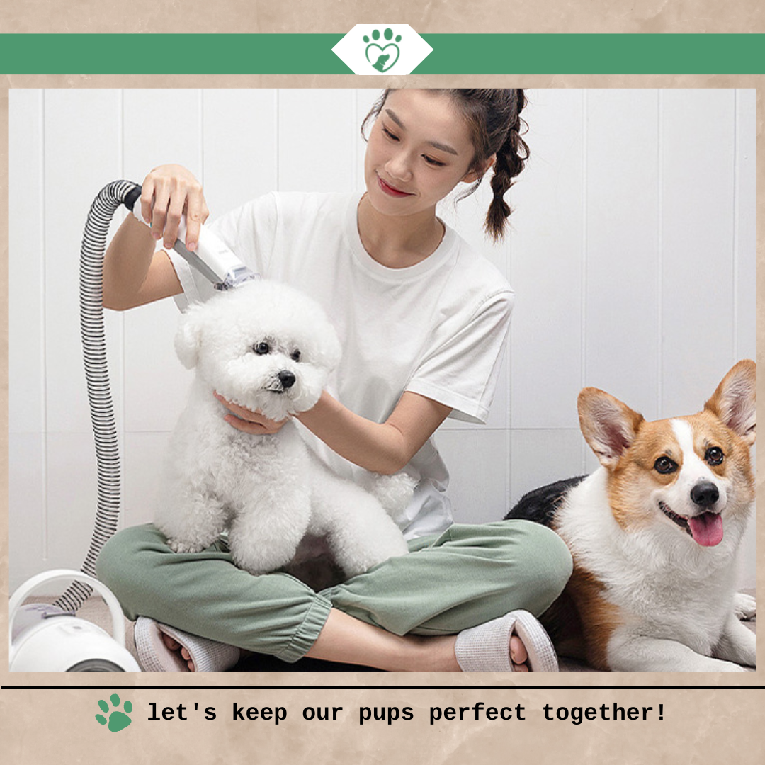 Keep Your Home Fur-Free with Our Powerful Pet Grooming Tool!