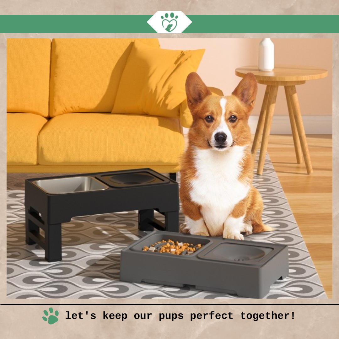 Elevate Your Pet's Dining Experience with Our Adjustable Pets Feeding Dish Bowl!