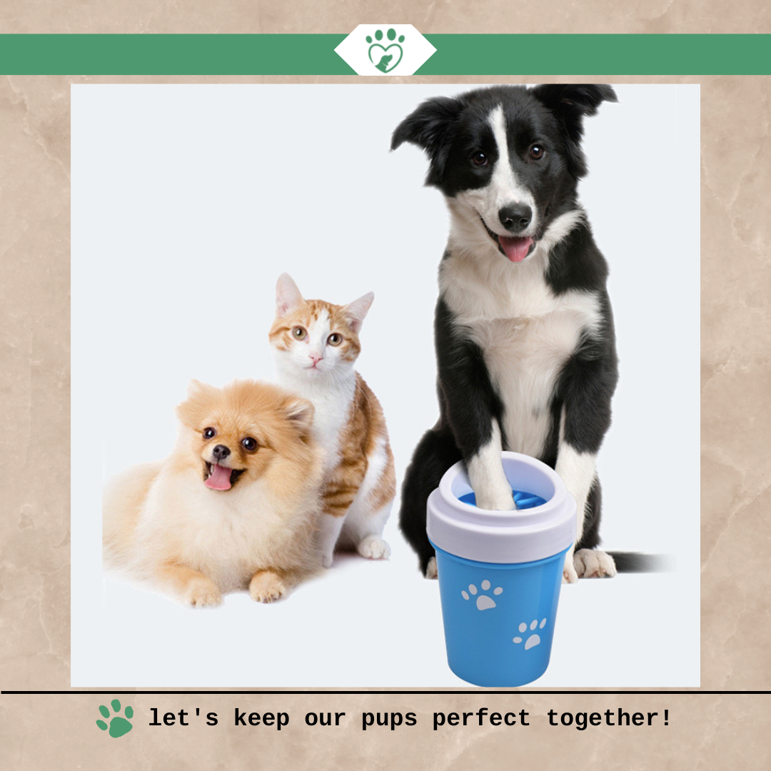 Say Goodbye to Muddy Paw Prints: Introducing the Dog Paw Cleaning Cup!