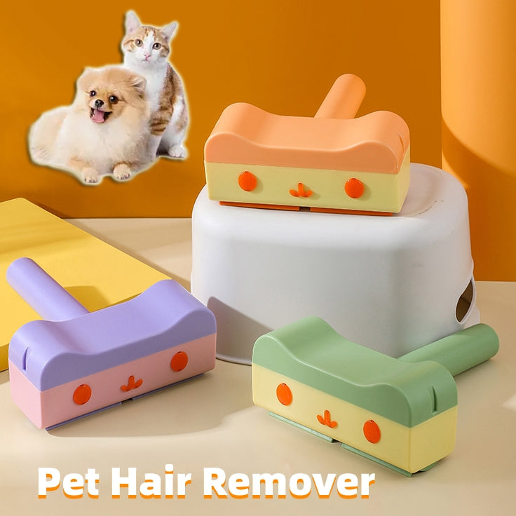 Pet Hair Roller Remover: 2-Way Cleaning Tool