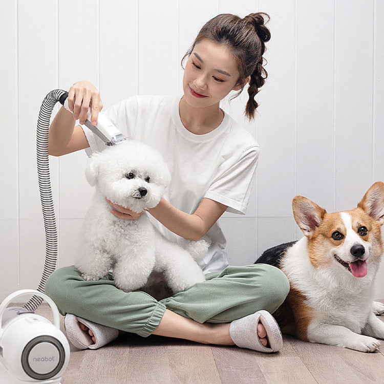 Pet Grooming Tool