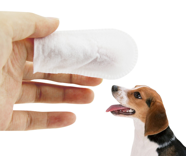 Pet Cleaning Teeth Wipes