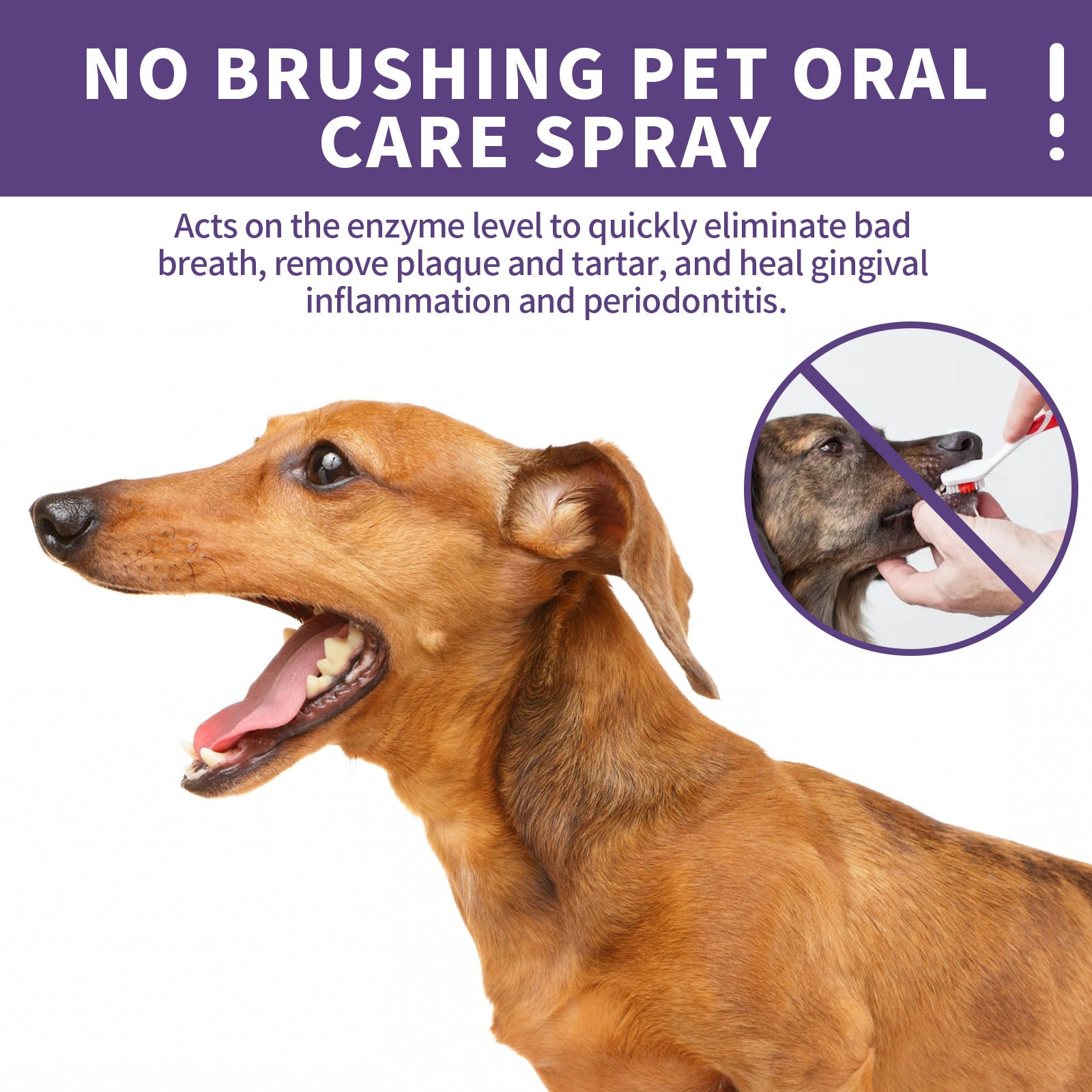 Pet Dental Spray: Tartar &amp; Stain Remover