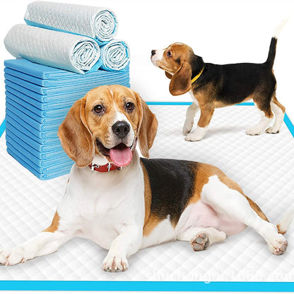 Disposable Pet Diaper Pads and Toilet Essentials