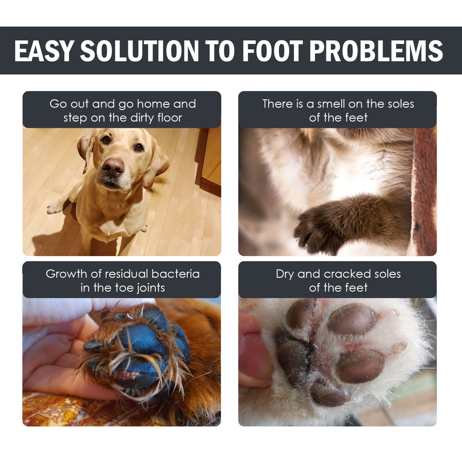 Dog Foot Mat Solution