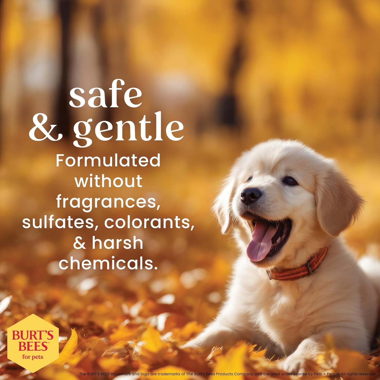 Burt’S Bees for Pets Tear Free Puppy Shampoo &amp; Conditioner with Buttermilk, 2 in 1 Gentle Dog Shampoo for Puppies, Cleans and Conditions Sensitive Skin, 16 Fl Oz