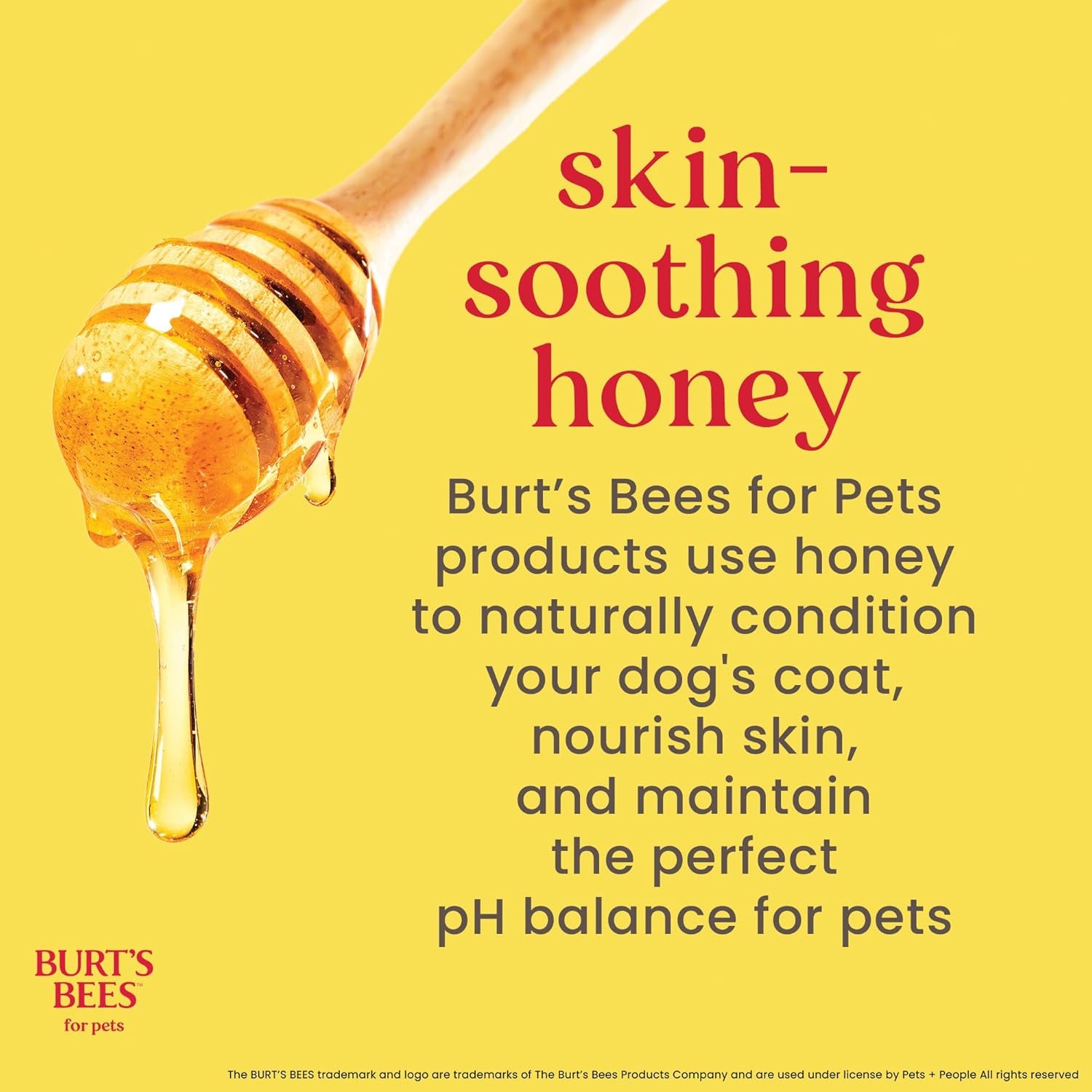 Burt’S Bees for Pets Tear Free Puppy Shampoo &amp; Conditioner with Buttermilk, 2 in 1 Gentle Dog Shampoo for Puppies, Cleans and Conditions Sensitive Skin, 16 Fl Oz