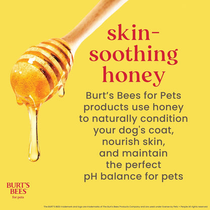 Burt’S Bees for Pets Tear Free Puppy Shampoo &amp; Conditioner with Buttermilk, 2 in 1 Gentle Dog Shampoo for Puppies, Cleans and Conditions Sensitive Skin, 16 Fl Oz