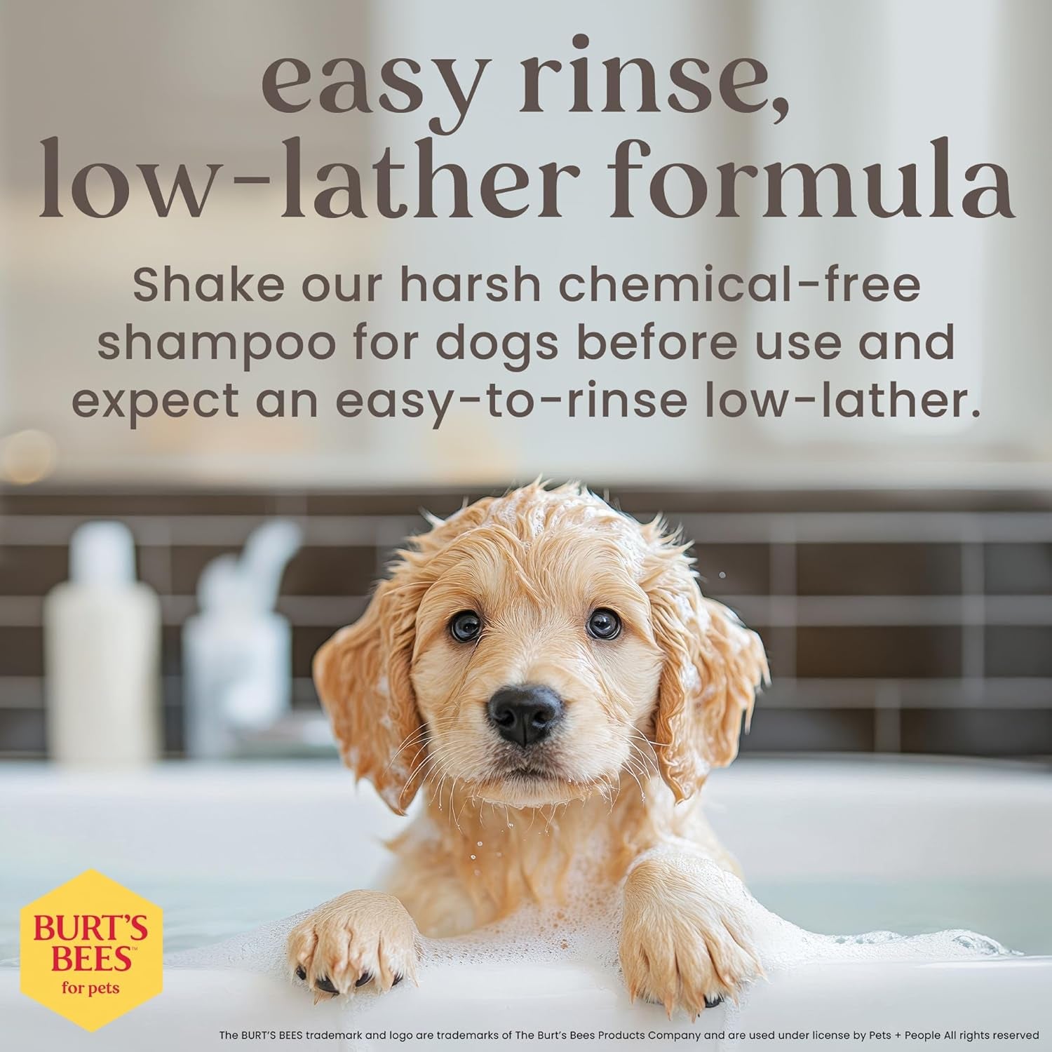 Burt’S Bees for Pets Tear Free Puppy Shampoo &amp; Conditioner with Buttermilk, 2 in 1 Gentle Dog Shampoo for Puppies, Cleans and Conditions Sensitive Skin, 16 Fl Oz